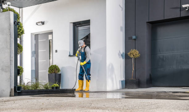 Best Fleet Vehicle Washing  in Norton Shores, MI